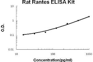 Rat Rantes PicoKine ELISA Kit standard curve (CCL5 ELISA 试剂盒)