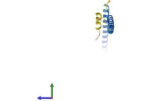Protein Structure (PS) image for Spindle and Kinetochore-Associated Protein 2 (FAM33A) (AA 1-120) protein (His tag) (ABIN7560609)