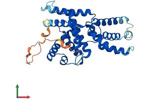 AlphaFold protein structure predicition of Mouse Recombinant Ccnh Protein, UniprotID Q61458