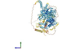 AlphaFold protein structure predicition of Human Recombinant CHD1L Protein, UniprotID Q86WJ1