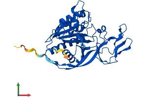 Protein Structure (PS) image for Aminoacylase 3 (ACY3) (AA 1-319) protein (His tag) (ABIN7551948)