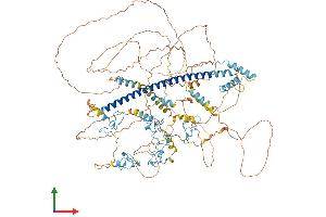 Protein Structure (PS) image for Zinc Finger Protein 387 (ZNF387) (AA 1-1047) protein (His tag) (ABIN7555616)