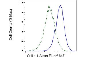 Validation of Cullin 1 knockdown using flow cytometry. (Recombinant Cullin 1 抗体)
