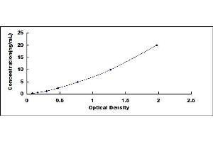 Typical standard curve (ABCA7 ELISA 试剂盒)