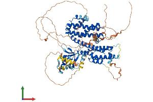 Protein Structure (PS) image for Regulatory Factor X 2 (RFX2) (AA 1-723) protein (His tag) (ABIN7555193)
