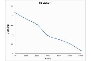 ELISA image for anti-Sodium Channel, Nonvoltage-Gated 1 alpha (SCNN1A) (AA 201-300) antibody (ABIN682243)