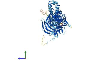 AlphaFold protein structure predicition of Mouse Recombinant Klhl38 Protein, UniprotID Q8BSF5