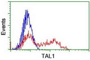Flow Cytometry (FACS) image for anti-T-Cell Acute Lymphocytic Leukemia 1 (TAL1) antibody (ABIN1501290) (TAL1 抗体)
