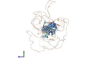 Protein Structure (PS) image for Tubby Like Protein 4 (TULP4) (AA 1-1543) protein (His tag) (ABIN7555914)