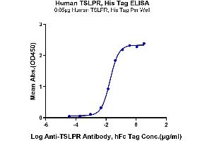 ELISA image for Cytokine Receptor-Like Factor 2 (CRLF2) (AA 25-231) protein (His tag) (ABIN7275802)