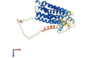 G Protein-Coupled Receptor 6 (GPR6) (AA 1-362) protein (His tag)
