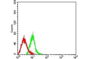 Flow cytometric analysis of HL-60 cells using CD208 mouse mAb (green) and negative control (red). (LAMP3 抗体  (AA 218-381))