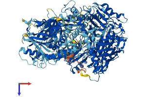 OPLAH Protein (AA 1-1288) (His tag)