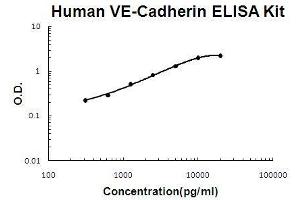 Human VE-Cadherin/CD144 PicoKine ELISA Kit standard curve (Cadherin 5 ELISA 试剂盒)