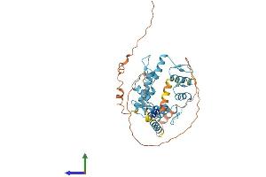 Protein Structure (PS) image for Zinc Finger and SCAN Domain Containing 9 (ZSCAN9) (AA 1-394) protein (His tag) (ABIN7545509)