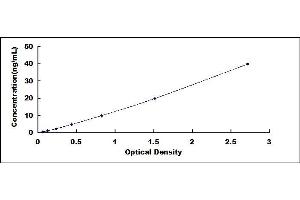 Typical standard curve (Adipsin ELISA 试剂盒)