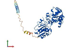 Protein Structure (PS) image for Fucosyltransferase 9 (Alpha (1,3) Fucosyltransferase) (FUT9) (AA 1-359) protein (His tag) (ABIN7562665)