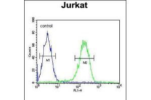 Flow cytometric analysis of Jurkat cells (right histogram) compared to a negative control cell (left histogram). (PAN3 抗体  (C-Term))