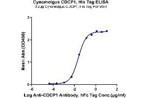 Immobilized Cynomolgus CDCP1 at 2 μg/mL (100 μL/Well) on the plate.