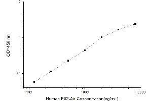 Typical standard curve (Anti-P62 Antibody ELISA 试剂盒)