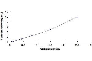 Typical standard curve (Rab5c ELISA 试剂盒)
