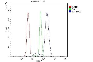 Flow Cytometry analysis of U937 cells using anti-OGT antibody (ABIN3043893). (OGT 抗体  (C-Term))