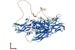Protein Structure (PS) image for Transglutaminase 1, Keratinocyte (TGM1) (AA 1-815) protein (His tag) (ABIN7565114)