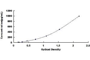 Typical standard curve