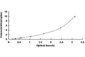 Typical standard curve (XCL2 ELISA 试剂盒)