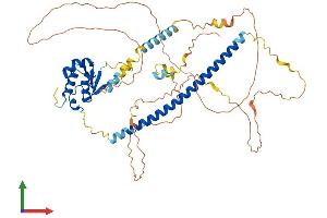 Protein Structure (PS) image for Heat shock factor protein 2 (HSF2) (AA 1-535) protein (His tag) (ABIN7563203)