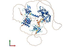 Protein Structure (PS) image for rho GTPase Activating Protein 12 (ARHGAP12) (AA 1-846) protein (His tag) (ABIN7551352)
