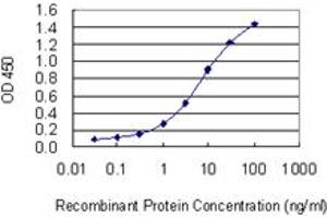Detection limit for recombinant GST tagged E2F3 is 0. (E2F3 抗体  (AA 336-425))