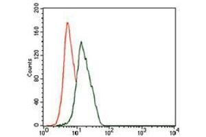 Flow Cytometry (FACS) image for anti-Enolase 2 (Gamma, Neuronal) (ENO2) (AA 251-433) antibody (ABIN969577)
