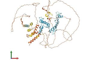 AlphaFold protein structure predicition of Mouse Recombinant Bcl6 Protein, UniprotID P41183 (BCL6 Protein (AA 1-707) (His tag))
