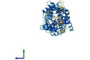 Protein Structure (PS) image for Solute Carrier Family 25 (Mitochondrial Carrier, Phosphate Carrier), Member 23 (SLC25A23) (AA 1-468) protein (His tag) (ABIN7555394)