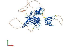 AlphaFold protein structure predicition of Human Recombinant UBP1 Protein, UniprotID Q9NZI7