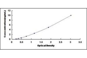 Typical standard curve (TINF2 ELISA 试剂盒)