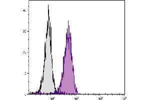 Human T cell leukemia cell line Jurkat was intracellularly stained with Mouse Anti-Human CD107b-SPRD. (LAMP2 抗体  (SPRD))