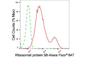 Flow cytometric analysis of ribosomal protein S8 expression in HepG2 cells using ribosomal protein S8 antibody (ABIN7800236), 1:2,000). (Recombinant RPS8 抗体)