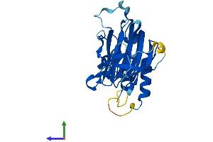 AlphaFold protein structure predicition of Mouse Recombinant Ado Protein, UniprotID Q6PDY2