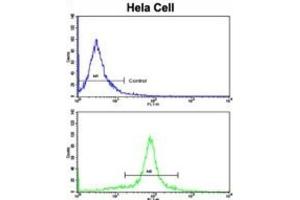Flow Cytometry (FACS) image for anti-Golgi phosphoprotein 3 (Coat-Protein) (GOLPH3) antibody (ABIN3003212) (GOLPH3 抗体)