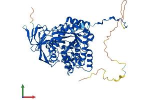 Protein Structure (PS) image for Dihydropyrimidinase-Like 5 (DPYSL5) (AA 1-564) protein (His tag) (ABIN7547174)