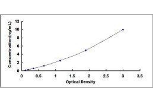 Prolactin ELISA 试剂盒