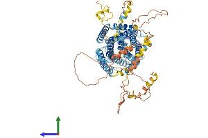 Protein Structure (PS) image for Solute Carrier Family 12 (Potassium/chloride Transporters), Member 8 (Slc12a8) (AA 1-705) protein (His tag) (ABIN7559944)