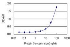 Sandwich ELISA detection sensitivity ranging from 1 ng/mL to 100 ng/mL. (HSD3B1 (人) Matched Antibody Pair)