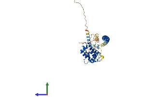 Protein Structure (PS) image for RUN Domain Containing 3B (RUNDC3B) (AA 1-408) protein (His tag) (ABIN7558043)