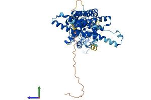 Protein Structure (PS) image for protein ariadne-2 homolog (ARIH2) (AA 1-493) protein (His tag) (ABIN7552385)