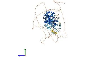 AlphaFold protein structure predicition of Human Recombinant CWC22 Protein, UniprotID Q9HCG8 (CWC22 Protein (AA 1-908) (His tag))