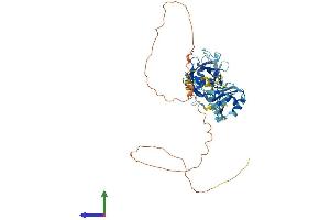Protein Structure (PS) image for Peptidylprolyl Isomerase (Cyclophilin)-Like 4 (PPIL4) (AA 1-492) protein (His tag) (ABIN7550885)
