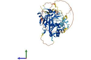 Protein Structure (PS) image for Methyltransferase Like 4 (METTL4) (AA 1-472) protein (His tag) (ABIN7549401)